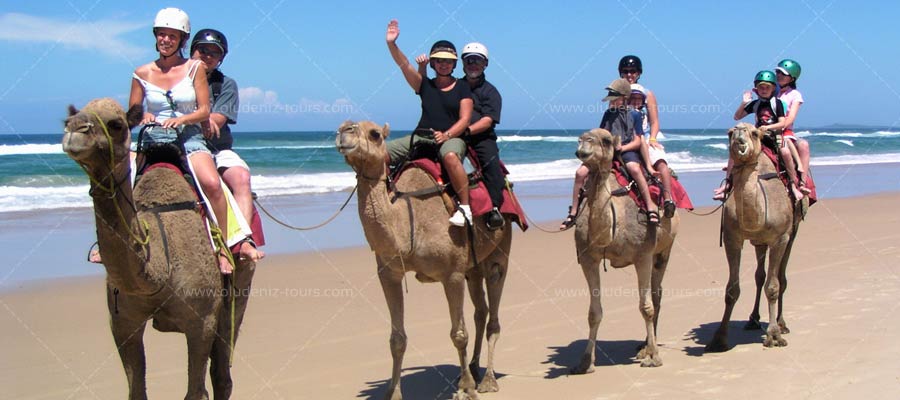 Camel Riding