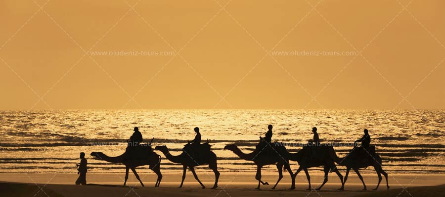 Camel Riding