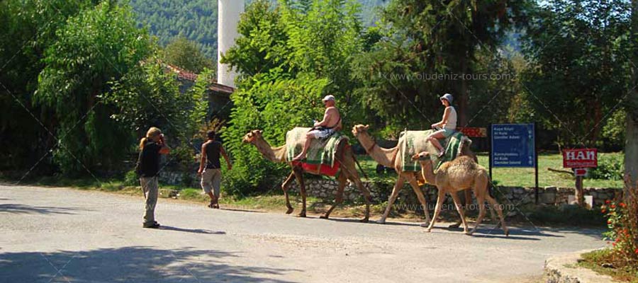 Camel Riding