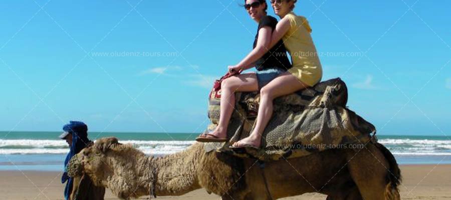 Camel Riding