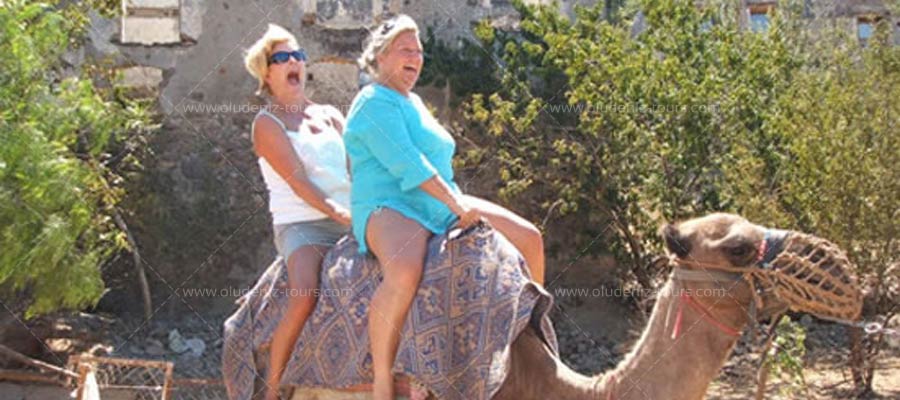 Camel Riding