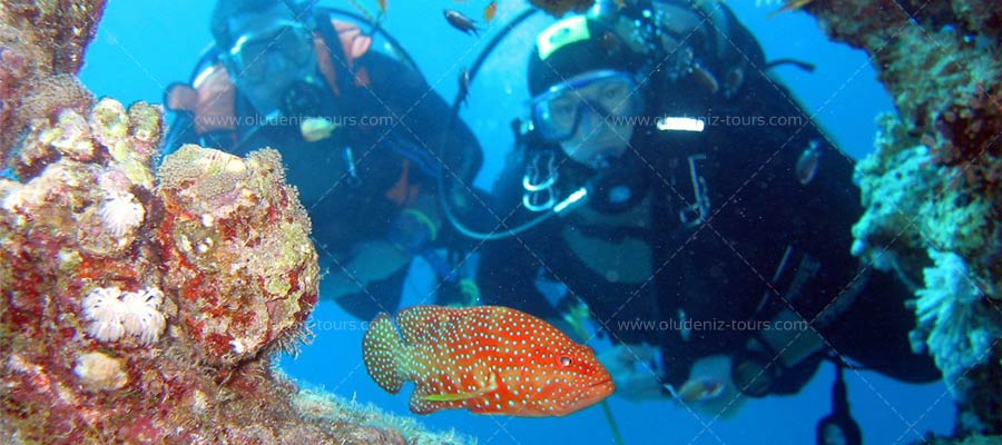 Scuba Diving