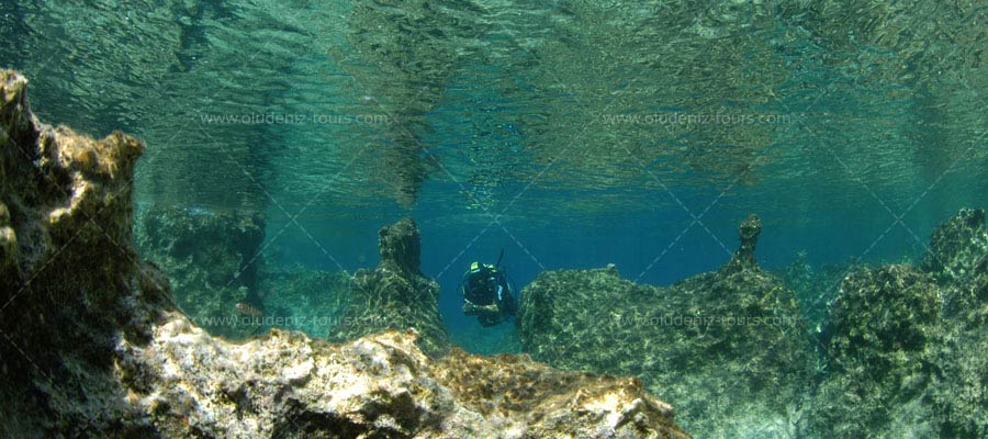Scuba Diving