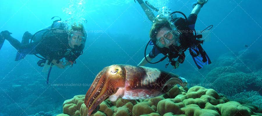 Scuba Diving