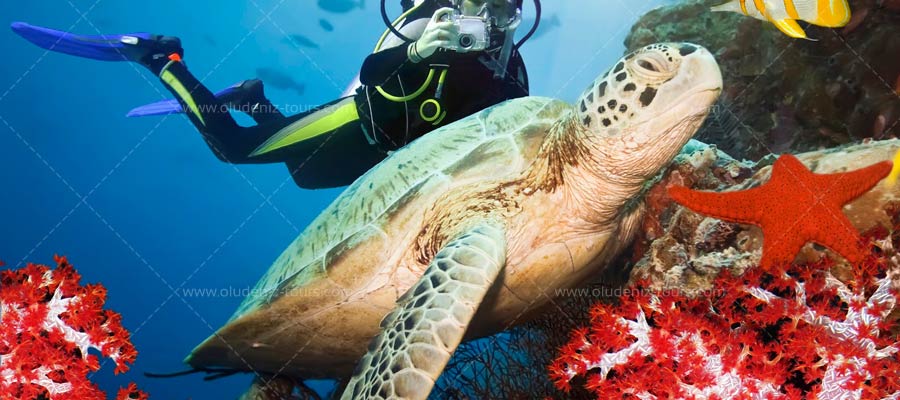 Scuba Diving