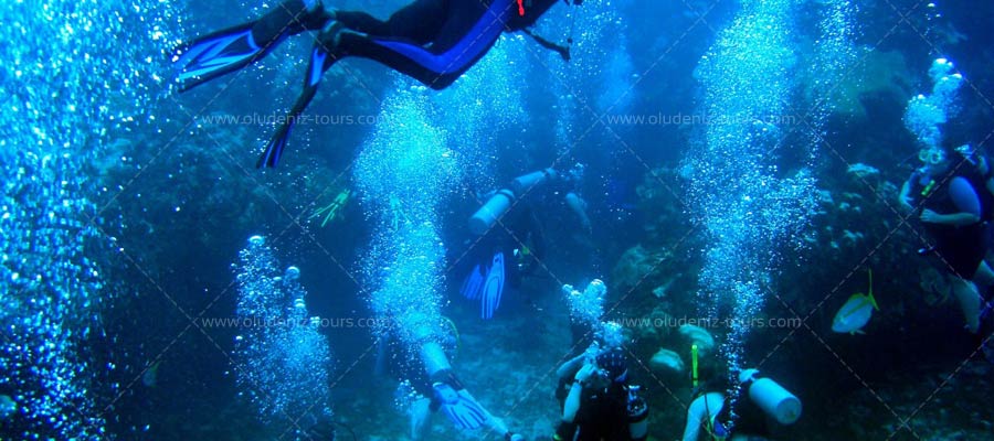 Scuba Diving