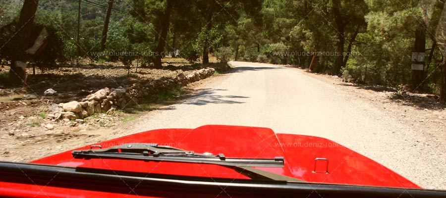 Jeep Safari