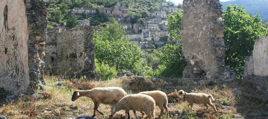 Fethiye Pazarı & Kayaköy