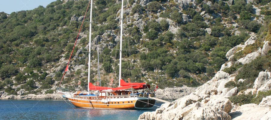 Daily Boat Hire