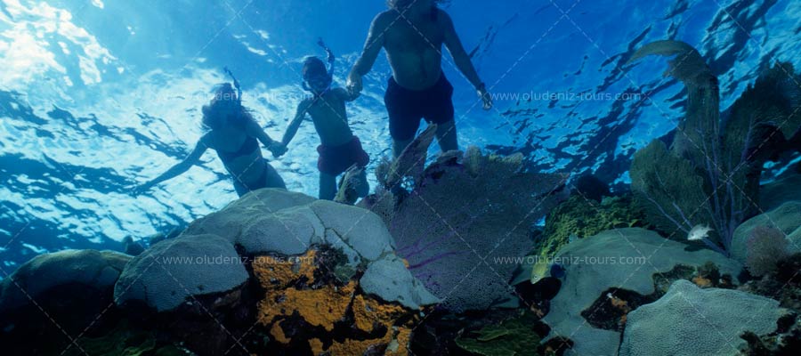 12 Island Boat Tours